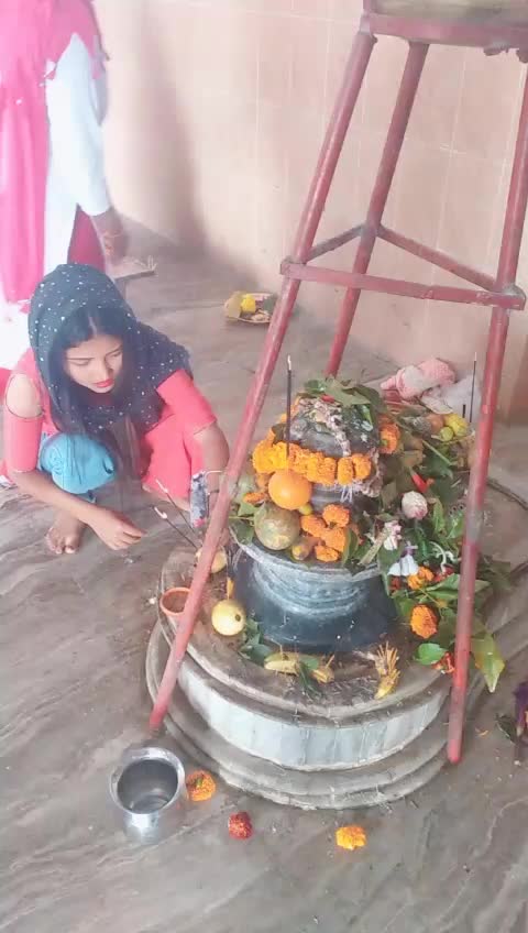 @bivika biswa