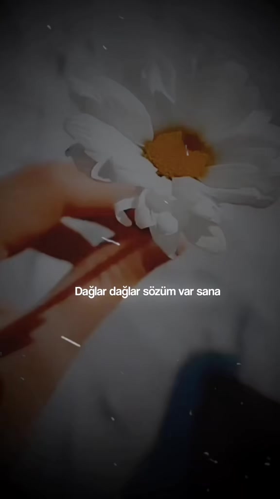 @𝓗♫