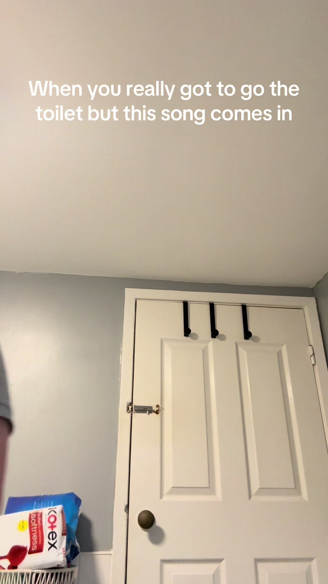 @eleph8nt