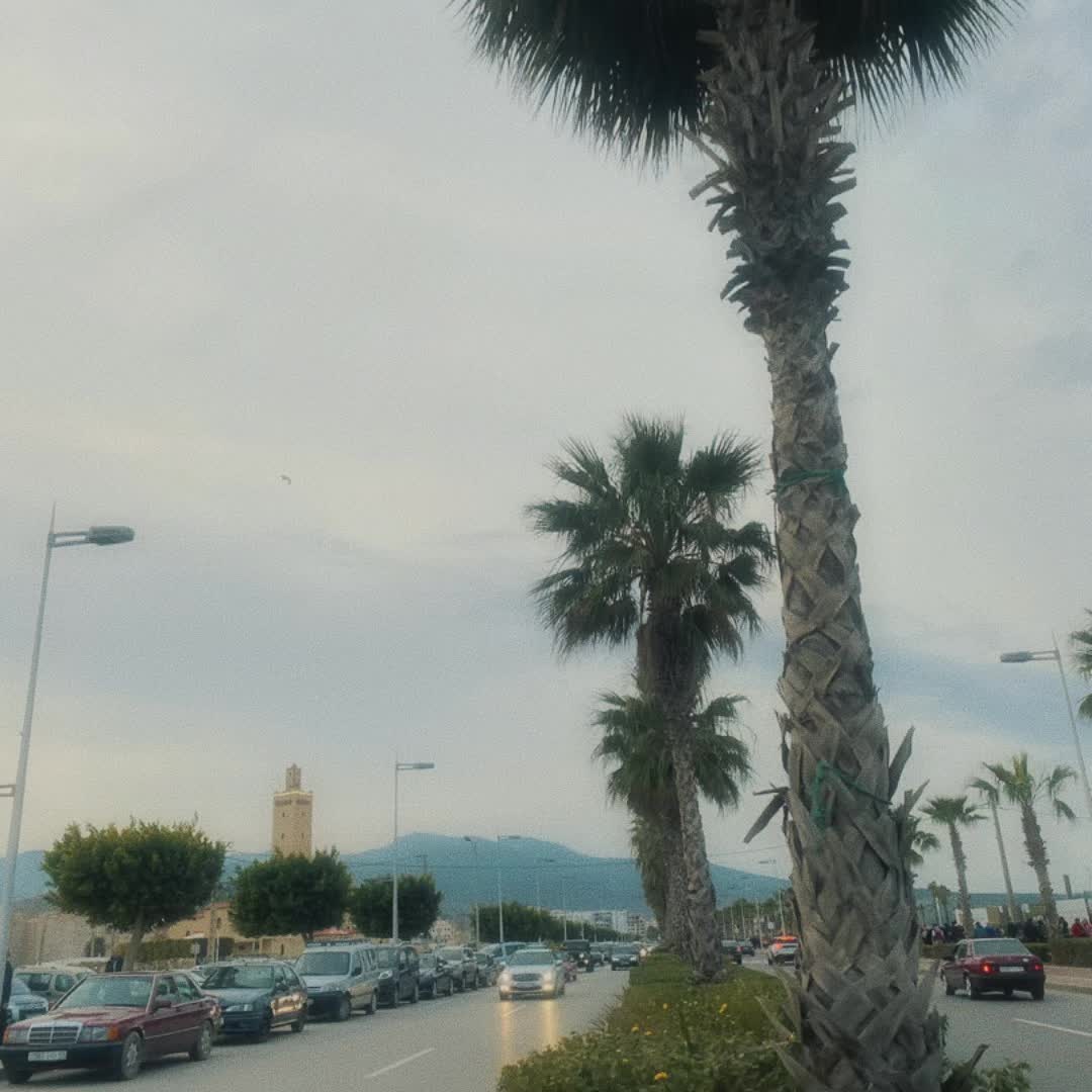 @Hayat