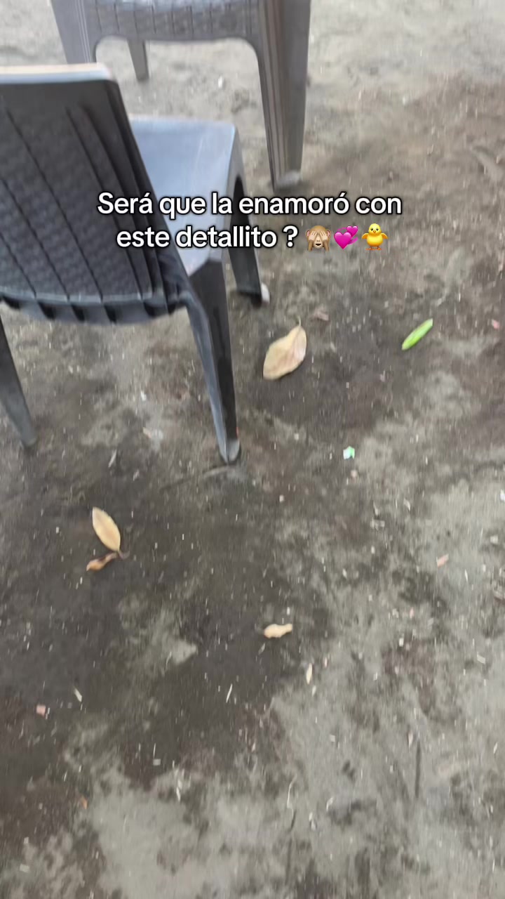 @Castillo🕷️🕸️