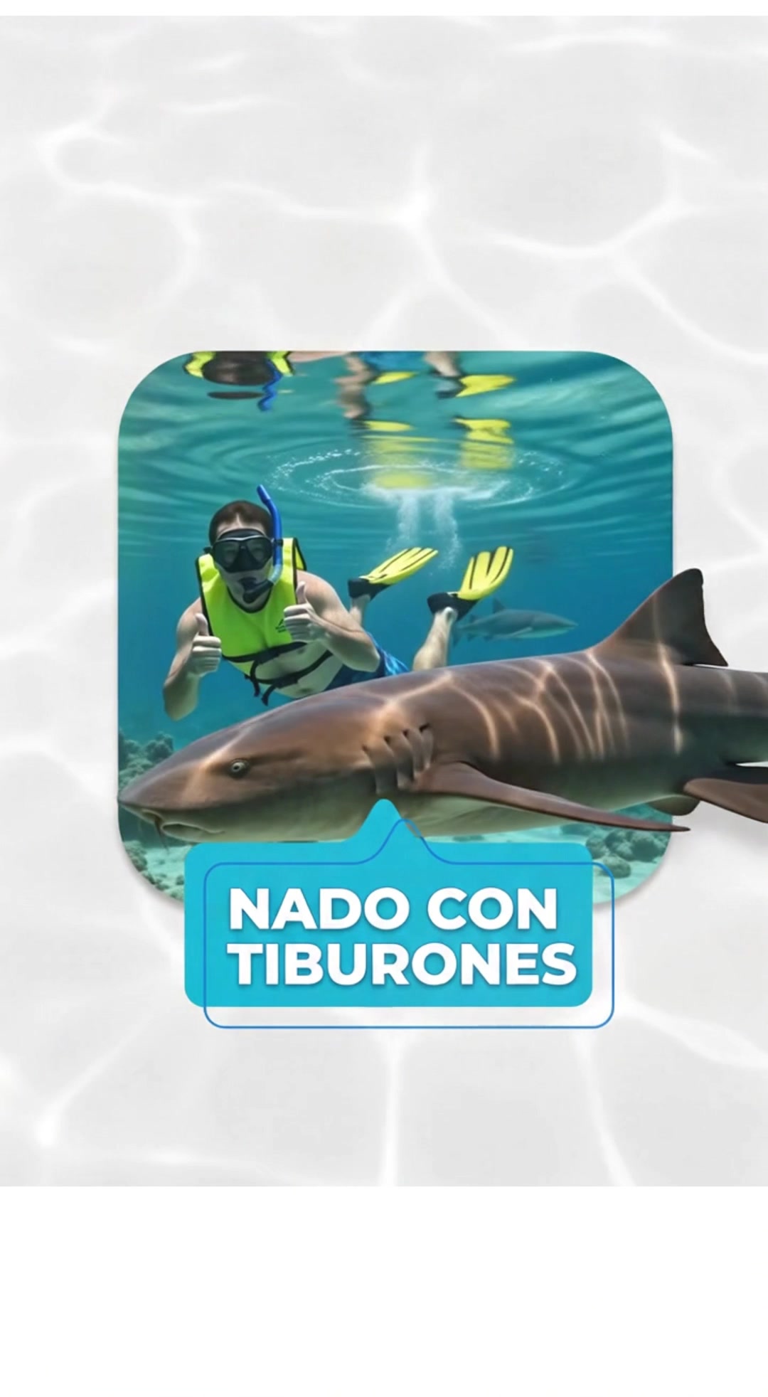 @oceanworldRD