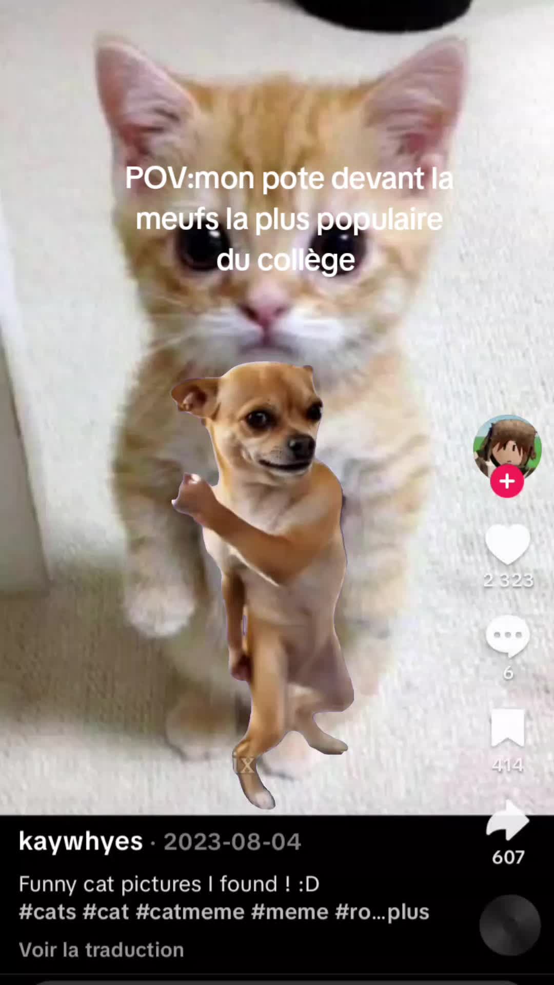 @(--__--)
