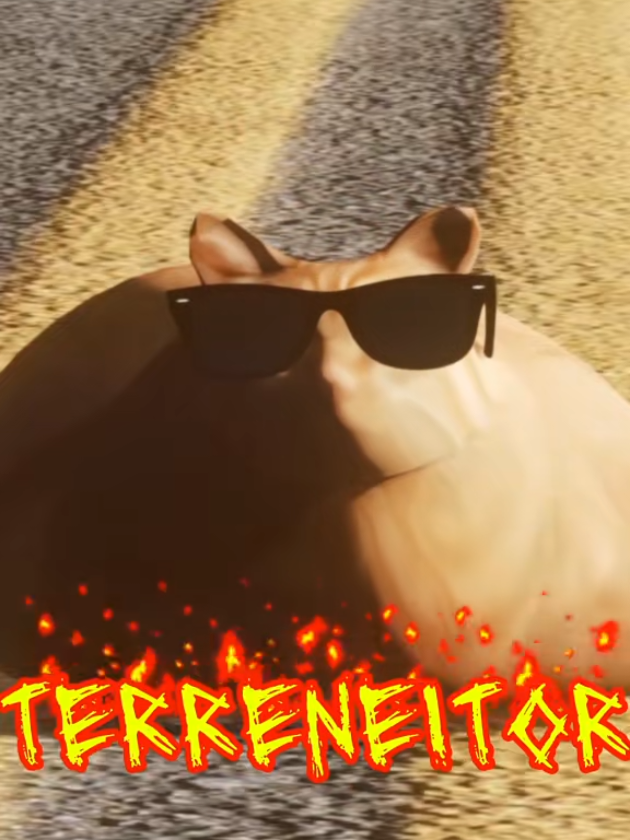 @Pablo the Race Cat