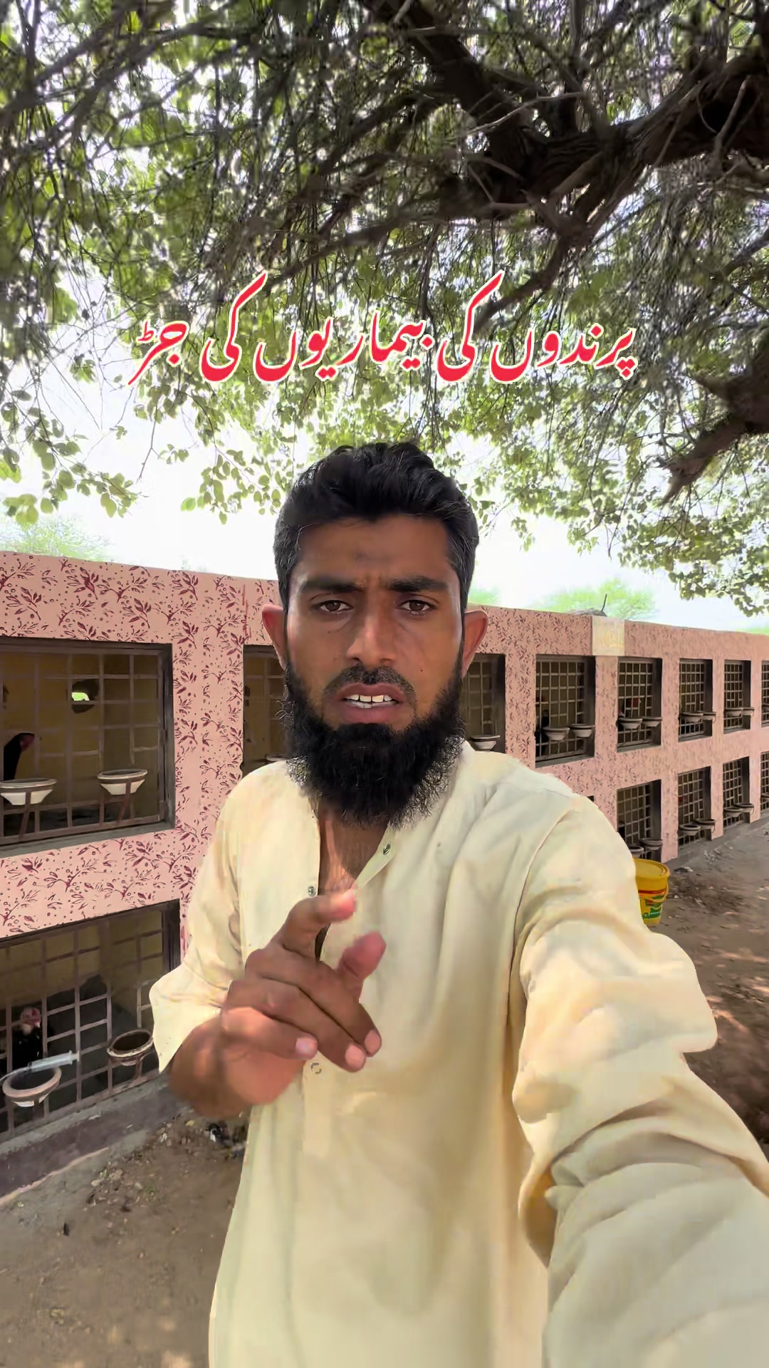 @Poultry Markaz