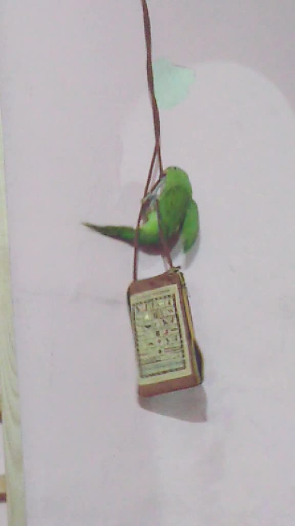 @Shivanaveen