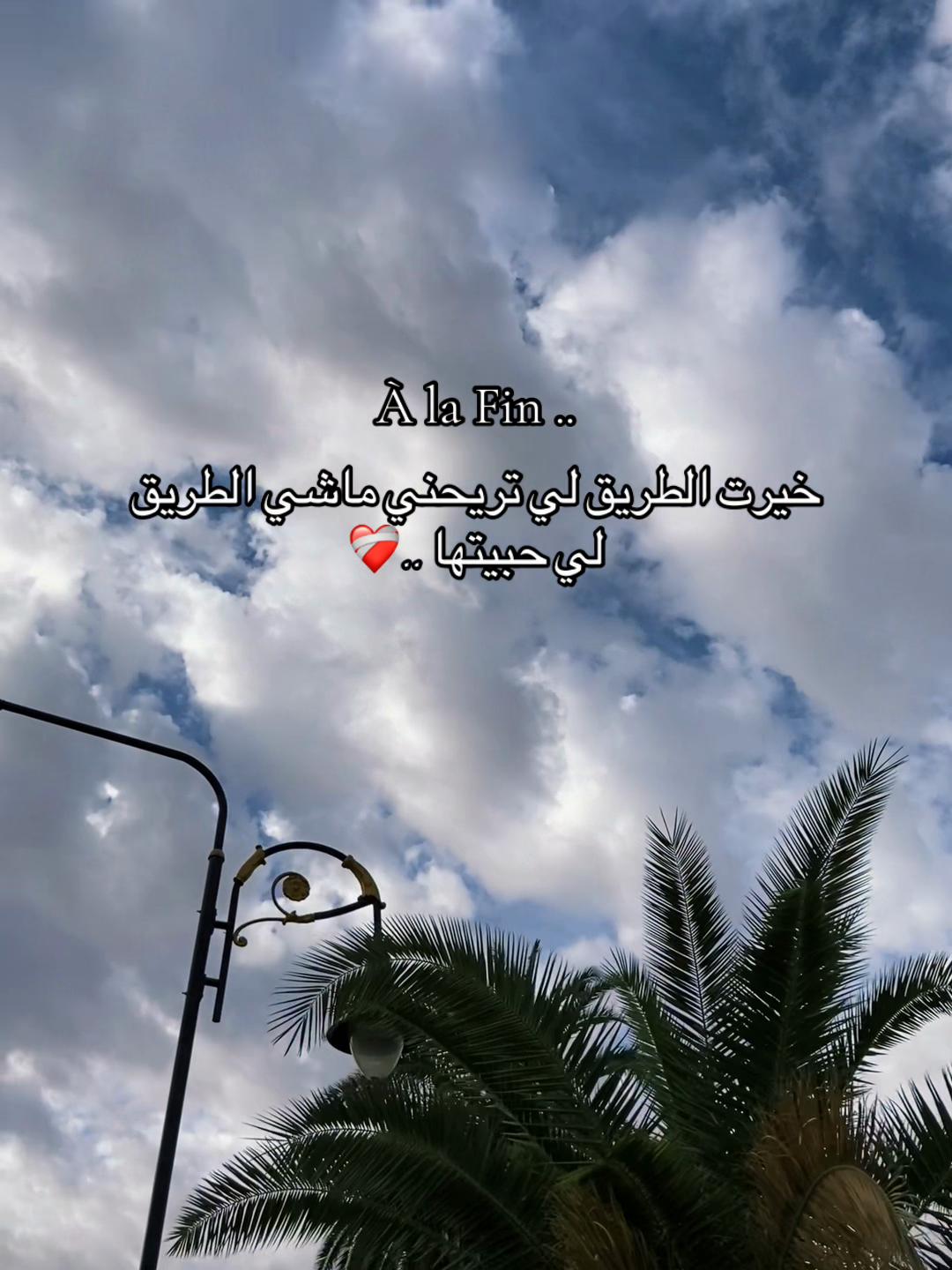 @🕊️