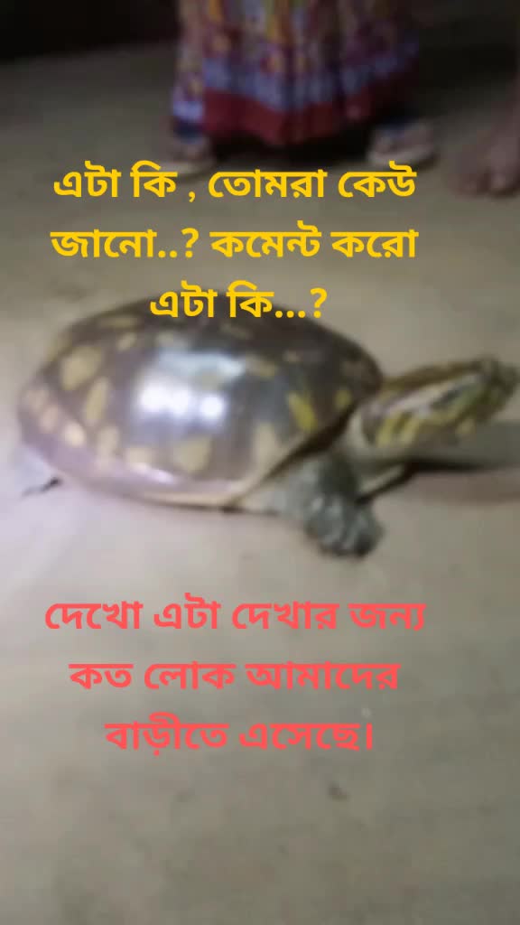 @đĨSWAPNO AKASHđĨ
