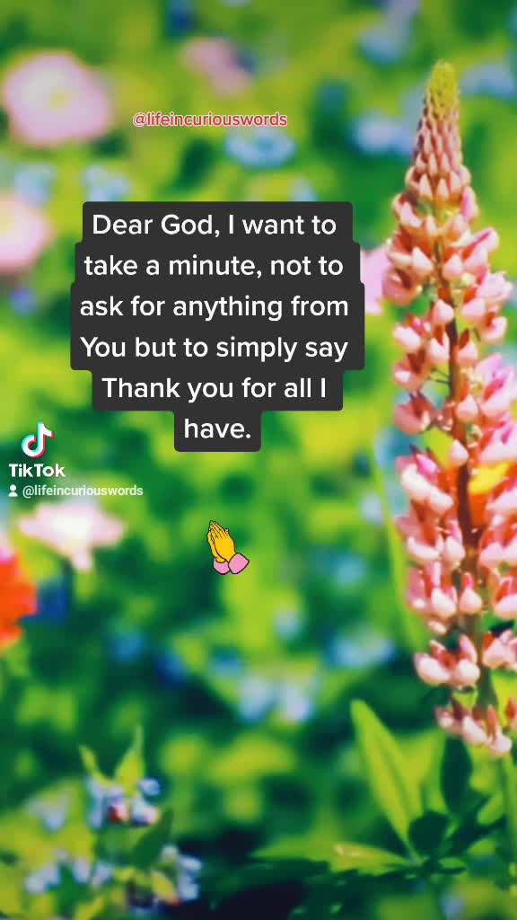 @💐 Life In Curious Words