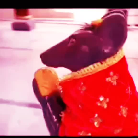 @hindi songs