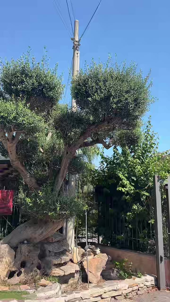 @vivaioanticogarden