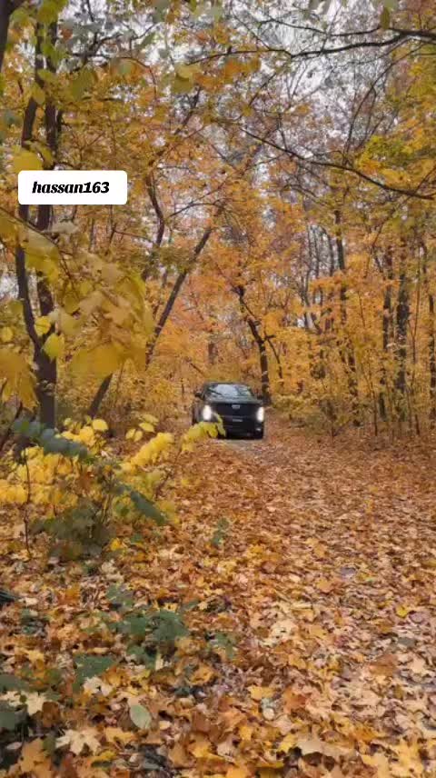 @hassan163