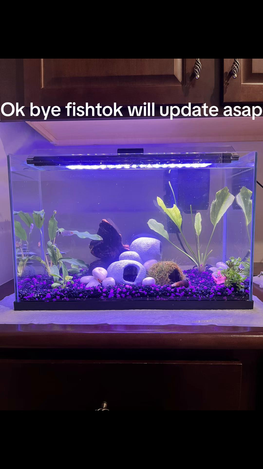 @im