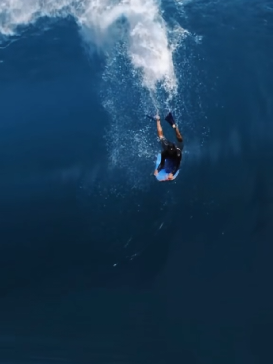 @Otua🪼surf