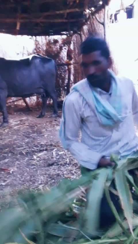 @user2127188260004