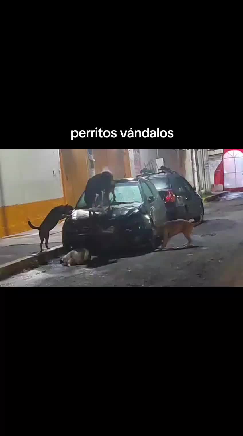 @Luu