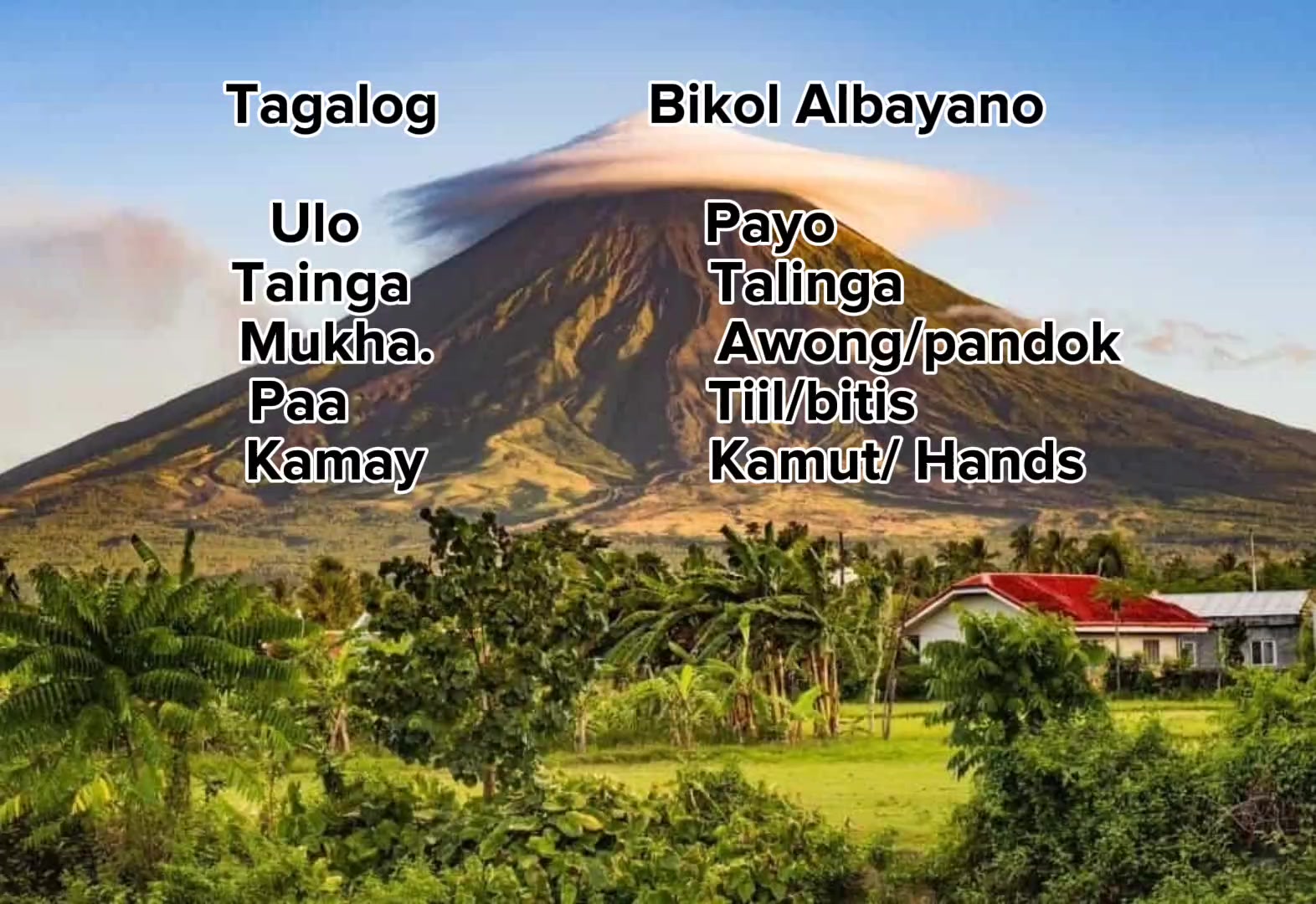 @Albayano