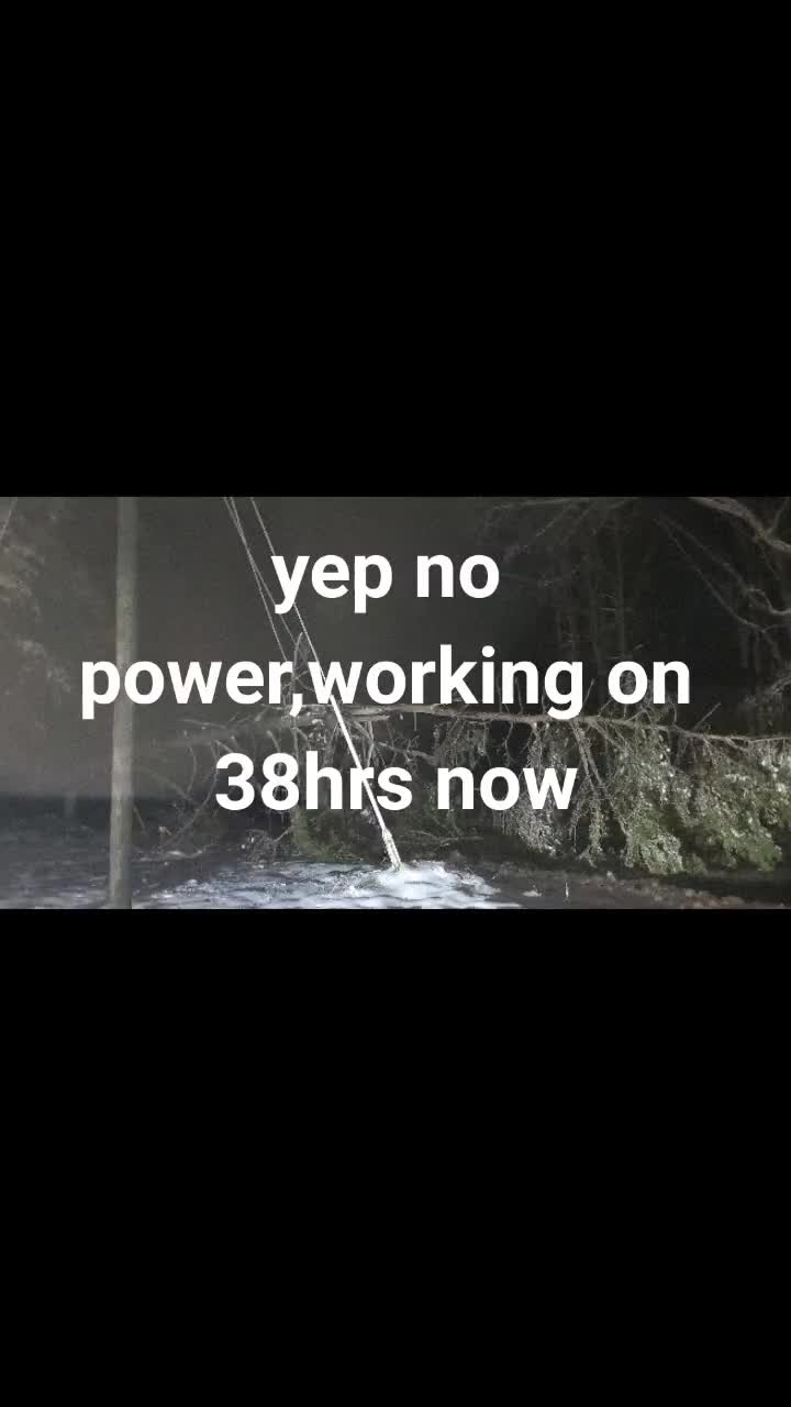 @Birddog