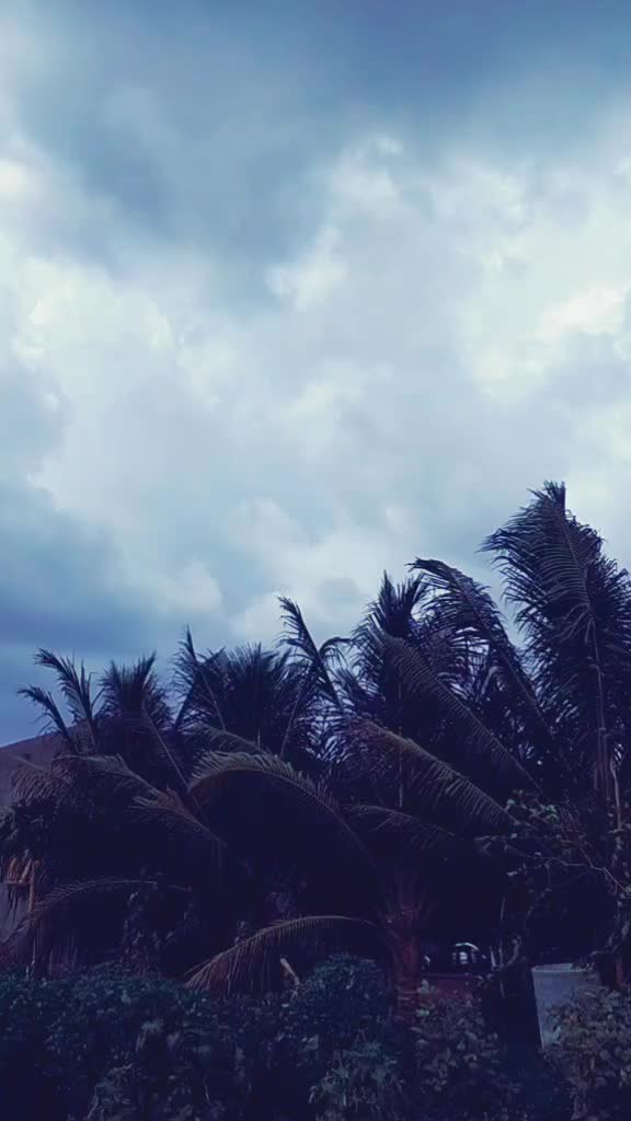 @Nik_Gadhavi