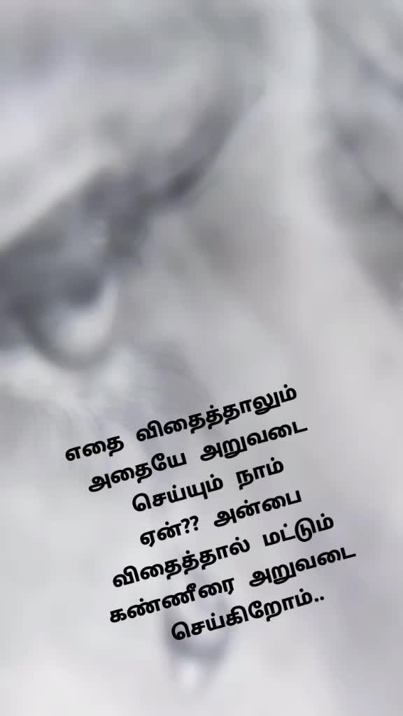 @kumar j