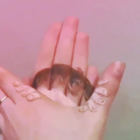@🔥ŸåĎûWåÑšHí QûÊêŃ👑