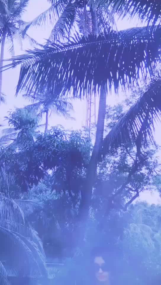 @jayasmitapanda12