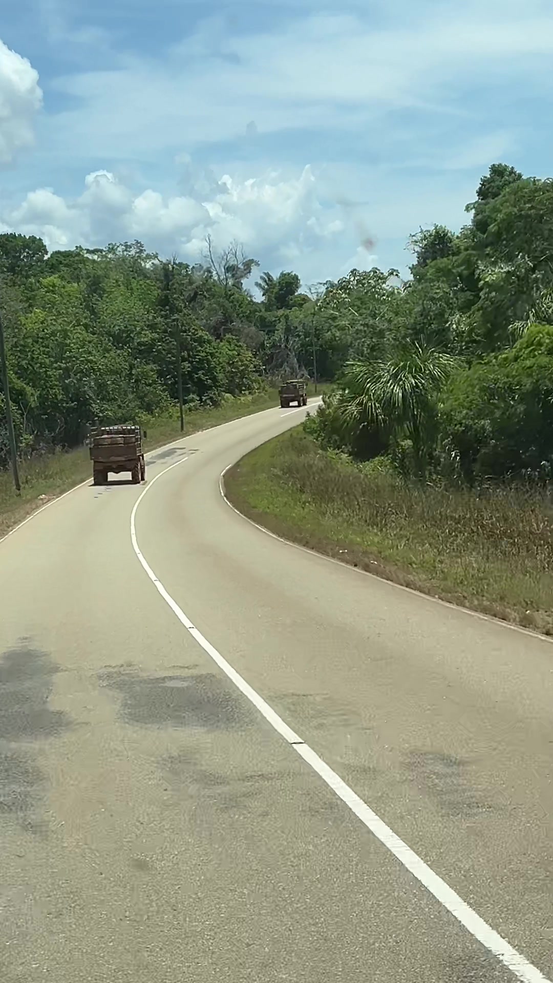 @Mercedes In The Jungle