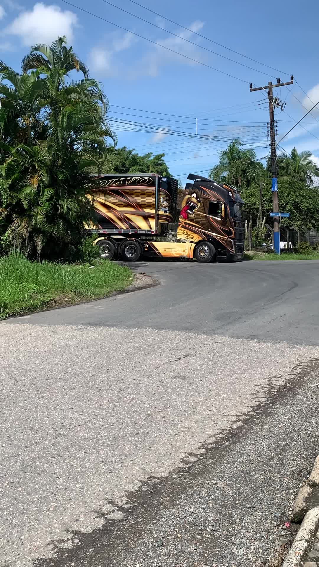 @Taz Cordeiro