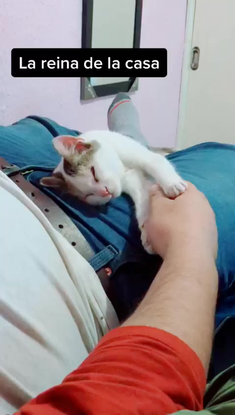 @๐๐โ๐๐ธ๐