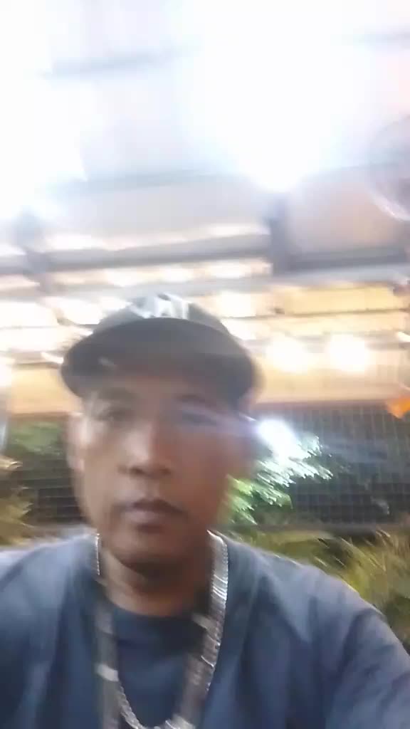 @darwinurrea686