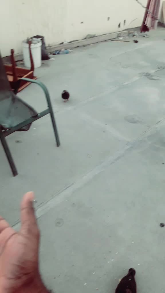 @അച്ചായൻ എന്ന ആൻറണി