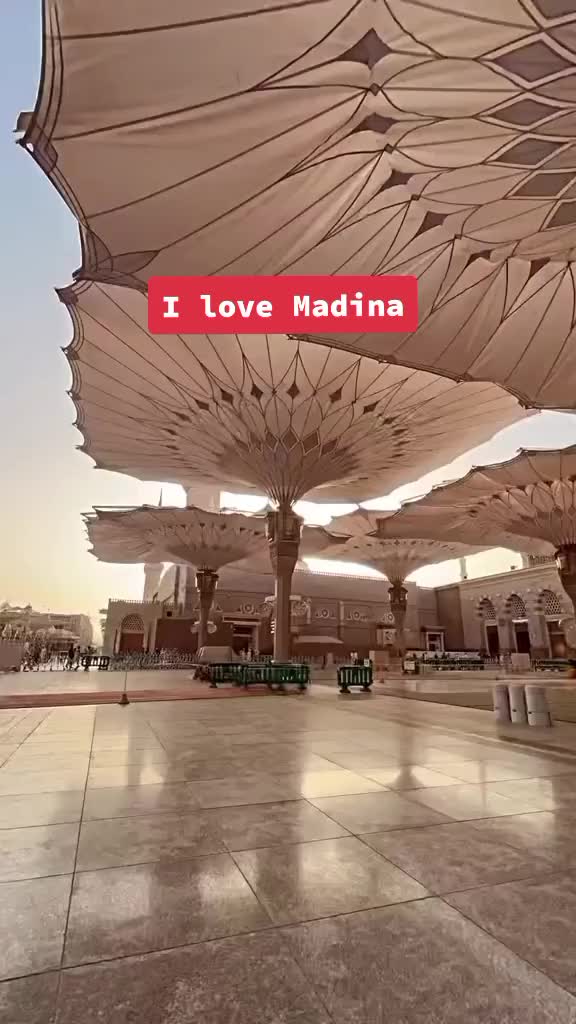 @M.Zubair