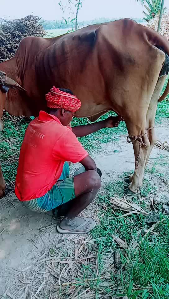 @Pramanad Kumar
