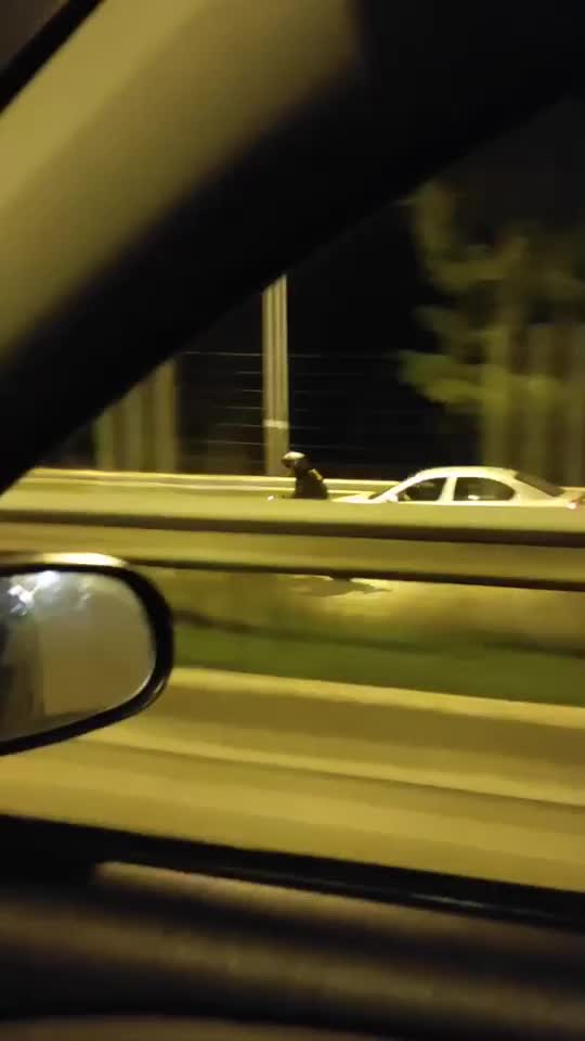 @&Gamma;&iota;ώ&rho;&gamma;&omicron;&sigmaf; &Pi;&alpha;&nu;&alpha;&gamma;&iota;&omega;&tau;&alpha;&kappa;ό&pi;
