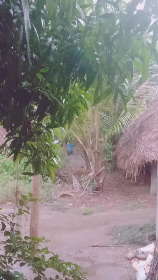 @Thiyagu Perumal