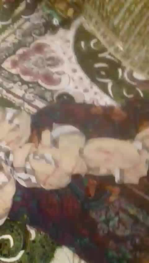 @Fontoso_Mandra❤🔞😜