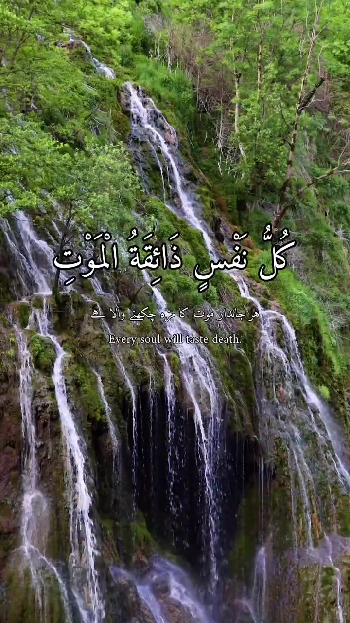 @Holly Quran