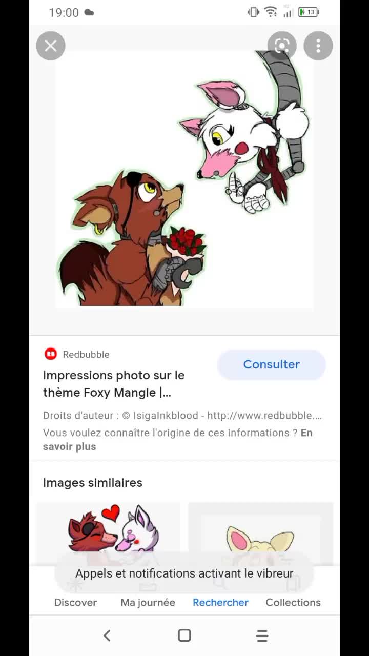 @🦊❤️ Mangle×Foxy ❤️🦊