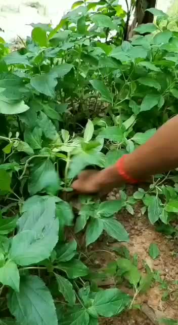 @Abhijith U.L