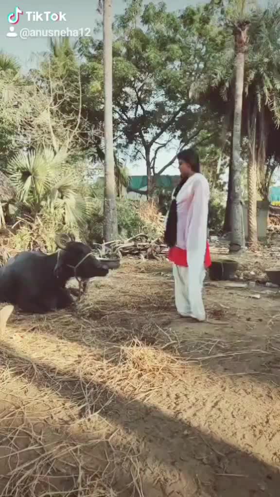 @Bhimavaram Ammyi Pspk fan 😍