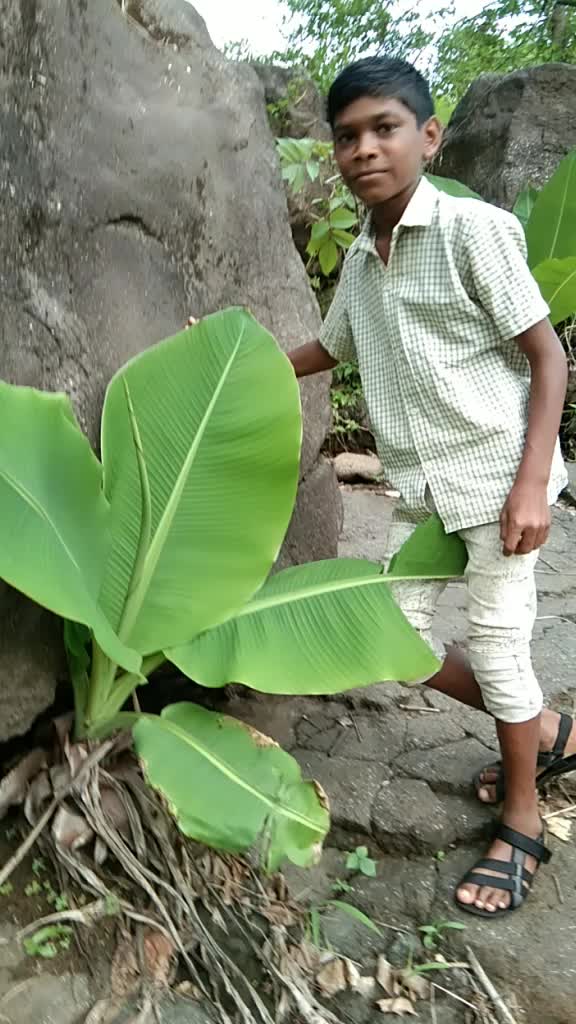 @Pradeep Pawar