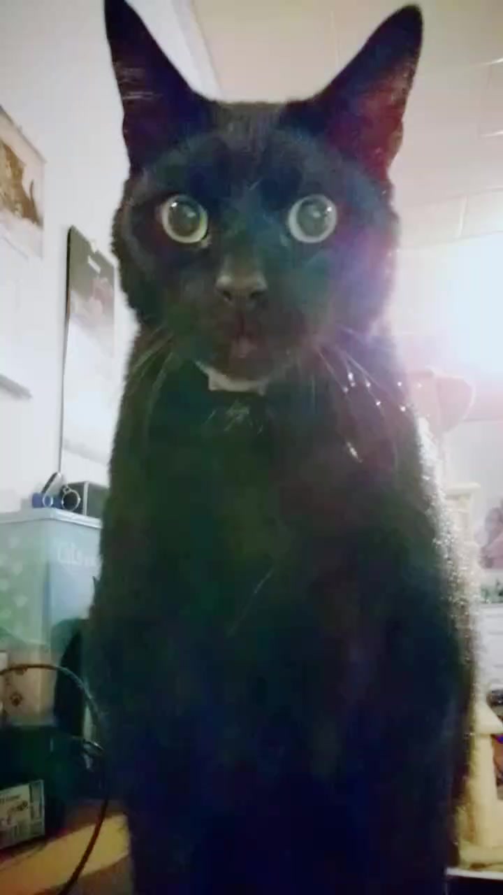 @😸 Alex 😸