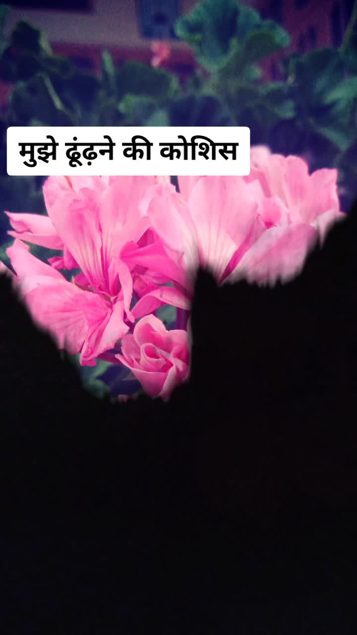 @❤️छोरु🦁पहाडी❤️