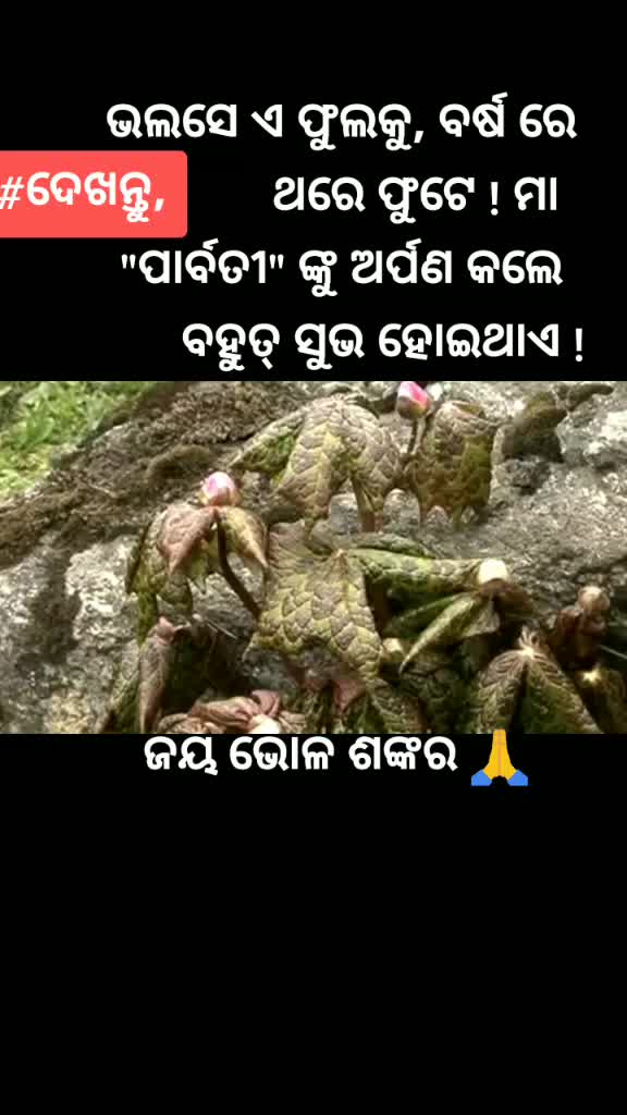 @stylis_47 rudra
