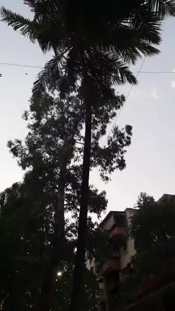 @VAIBHAVI👻