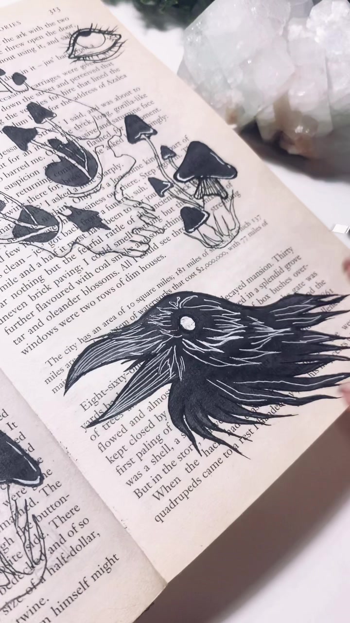 @VERA TERROR