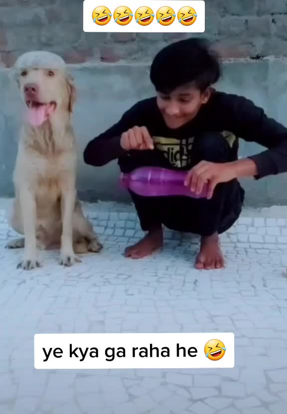 @comedy_dog_rocky