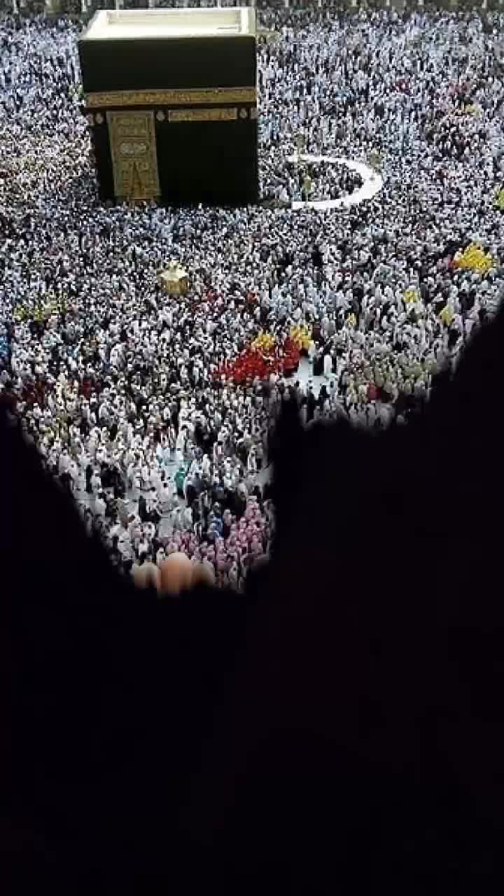 @๐ซ๐ูุงูุดุง ุดูุฎ_๐_ ุฃุตู ุธูุฑ๐๐ซ