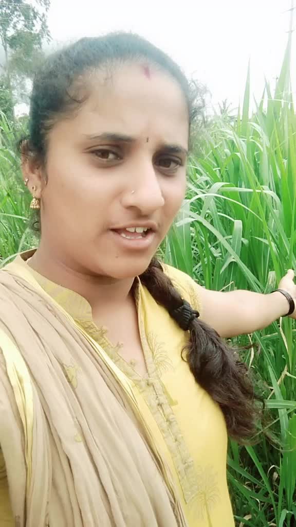 @Kavya D Gowda503