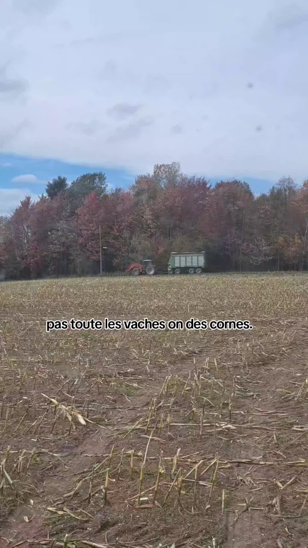 @Alex👨&zwj;🌾🥛